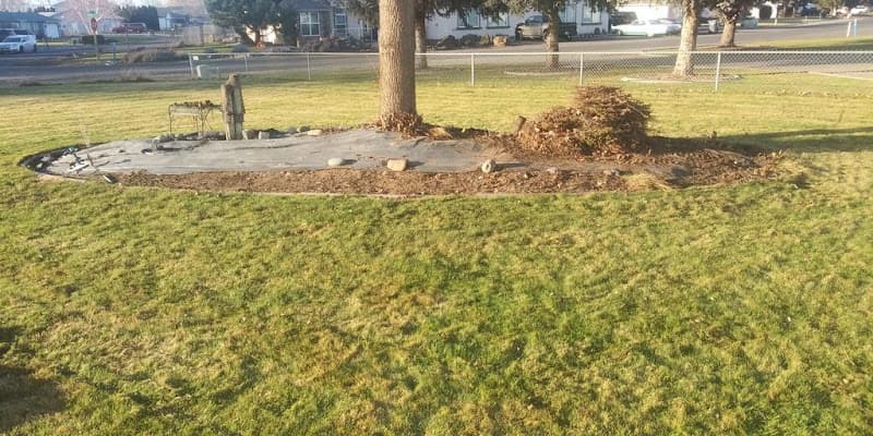 The Dream Team photo