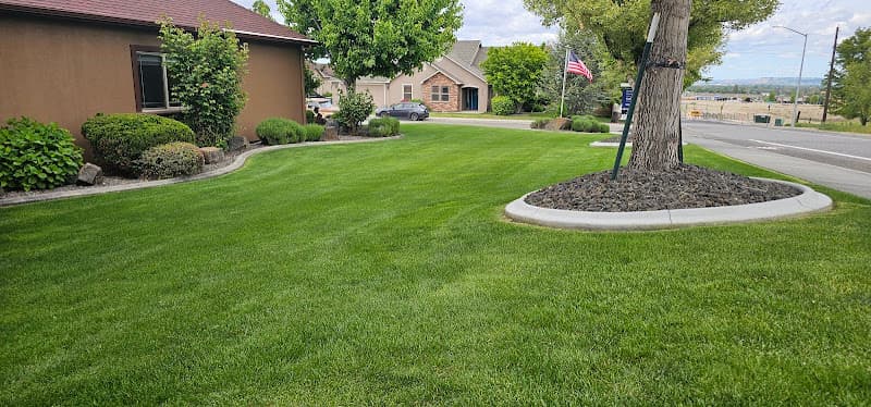 Rooted Lawncare LLC photo