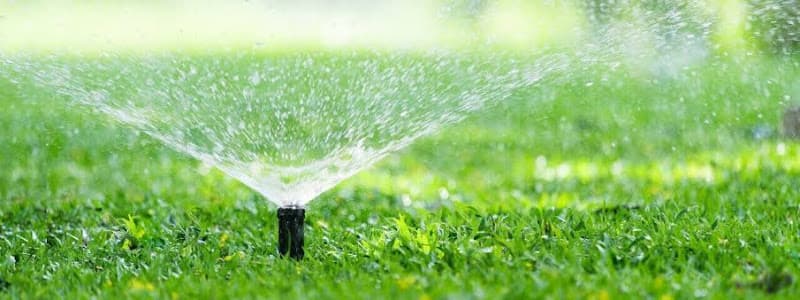 Affordable Sprinklers photo