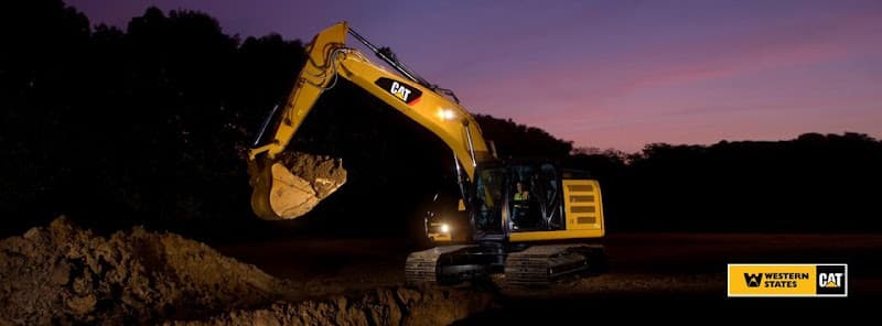 Western States Cat photo